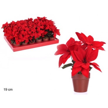 2009135 3 POT DE FLEUR POINSETTIA 19CM (72 PIECES)
