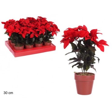 2009136 6 POT DE FLEUR POINSETTIA 30CM (24 PIECES)