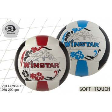 BALLON VOLEYBALL WINSTAR - TAILLE 5 - 2 ASS - 260/290G ( 12 PIECES)