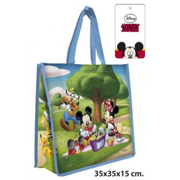 2052484 SAC RAPHIA (48 PIECES)