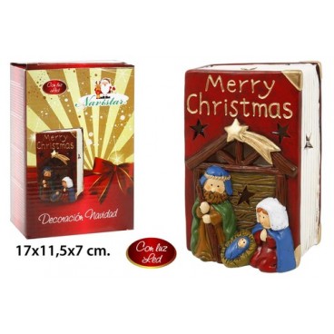2052494 DECORATION NOEL AVEC LED (24 PIECES)