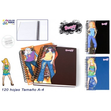 CAHIER 120 FEUILLES - 3 DIVISER ( 24 PIECES)