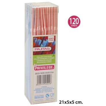 2053224 PAILLES 120 PCES AVEC BOITE (96 PIECES)
