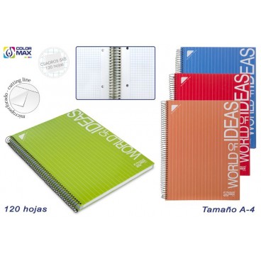 CAHIER SCOLAIRE ESP. A4 COUVERCLE RIGIDE 120F-CARRÉS 5MM-4/S ( 15 PIECES)