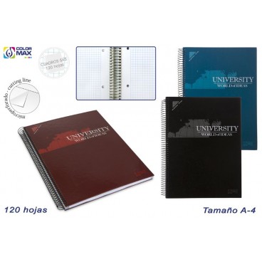 CAHIER SCOLAIRE ESP.A4 COUVERCLE RIGIDE 120F CARRÉS 5MM- 3/S ( 15 PIECES)