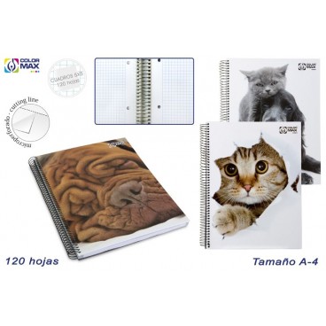 CAHIER SCOLAIRE ESP.A4 COUVERCLE RIGIDE 120F CARRÉS 5MM- 3/S ( 15 PIECES)