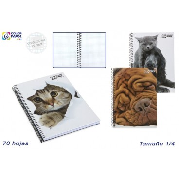 CAHIER SCOLAIRE ESP.1/4 COUVERCLE RIGIDE 70F CARRÉS 4MM-3ASS ( 50 PIECES)