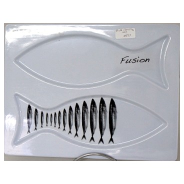 Plat rectangle poisson (Référence: fish01-Colisage: 20)