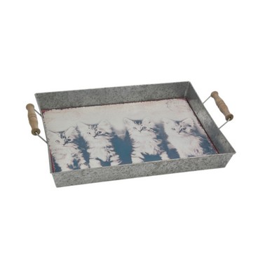 Plateau chat 41*30*5 cm (Réf 10287 par lot de 24 pcs)