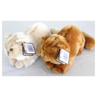 Peluche chat Sun Kid 30 cm (Réf 1276 par lot de 24 pcs)