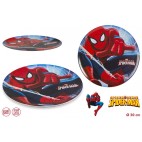 ASIETTE MELAMINE SPIDERMAN (24 U)