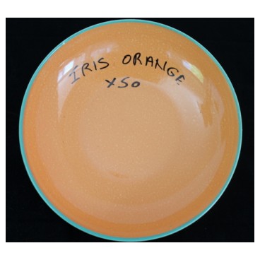 Assiette coupe 24cm iris orange (Réf 3042 par lot de 24 pcs)