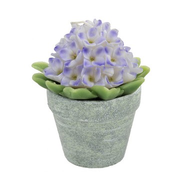 Bougie hortens dans pot (Réf 20241 par lot de 24 pcs)