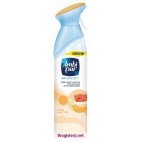 AMBI PUR SPRAY 300 ML AIR EFFECTS ZONING ZOMER FRUIT ( NL/FR/UK/D - 12 PIECES )