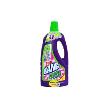 CILLIT BANG POWER CLEANER 1L POWER FRESH ( NL/FR/D - 12 PIECES )