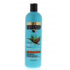DAILY DEFENSE 473ML SHAMPOO ARGAN OIL 