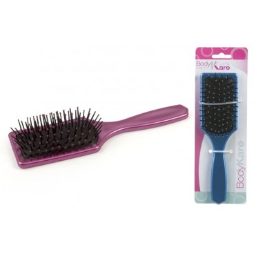 BROSSE CHEVEUX EN BLISTER - 2 ASS ( 48 PIECES)