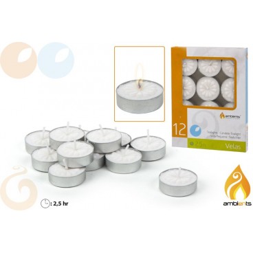 PACK 12 TEALITES ( 24 PIECES)