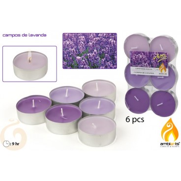 PACK 6 TEALIGHT JUMBO PARFUMÉE - LAVANDE ( 24 PIECES)