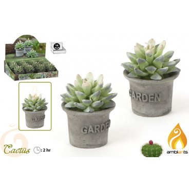 BOUGIE CACTUS - DISP 12 ( 24 PIECES)
