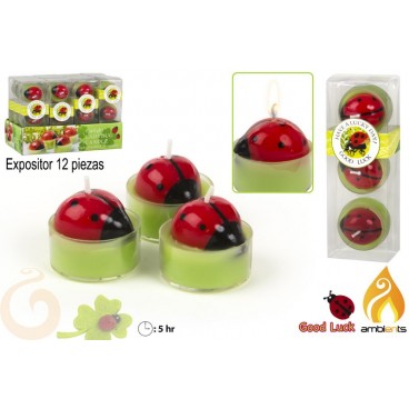 PACK 3 TEALITE COCCINELLE - DISPLAY 12 ( 24 PIECES)