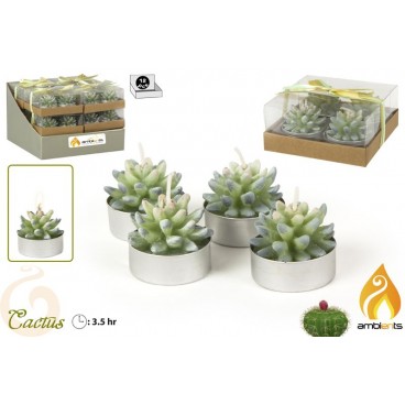 PACK 4 BOUGIES CACTUS - DISP 12 ( 24 PIECES)