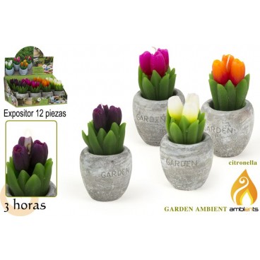 POT BOUGIES TULIPE CITRONNELLE 4 ASS - DISPLAY 12 ( 24 PIECES)
