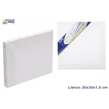 TOILE 30X30X1.5 CM ( 48 PIECES)