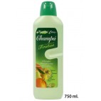0202163 SHAMPOOING FRUITS VDL GOLDEN LINE (12 PIECES)