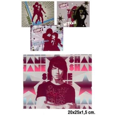 0262663 TABLEAU 20*25 (48 PIECES)