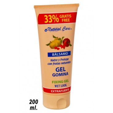 0283960 GEL FIXANT FRUITS 200 (18 PIECES)