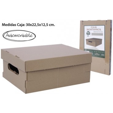 2000075 BOITE USAGE MUL.MARRON(30X22.5X12.5) (96 PIECES)
