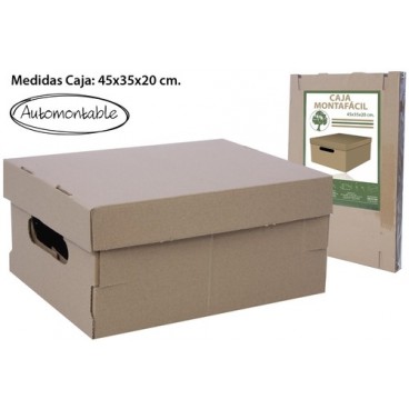 2000077 BOITE USAGE MUL.MARRON (45X35X20) (36 PIECES)