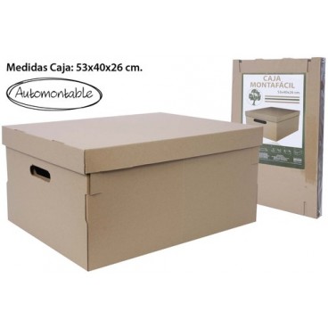 2000078 BOITE USAGE MUL.MARRON (53X40X26) (24 PIECES)